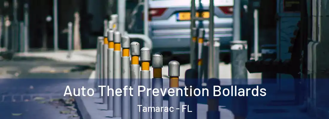  Auto Theft Prevention Bollards Tamarac - FL
