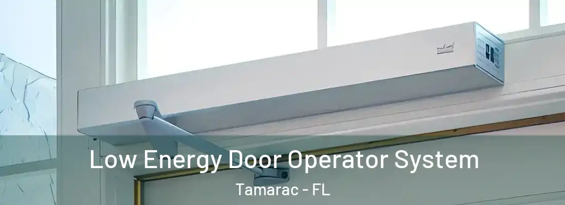 Low Energy Door Operator System Tamarac - FL